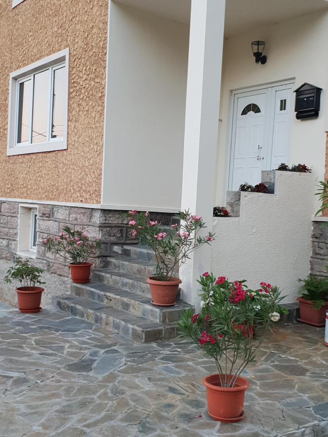Orşova Pretty Garden 빌라 외부 사진