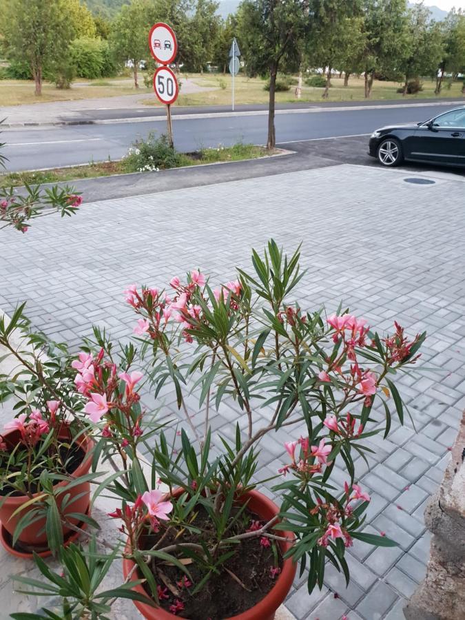 Orşova Pretty Garden 빌라 외부 사진